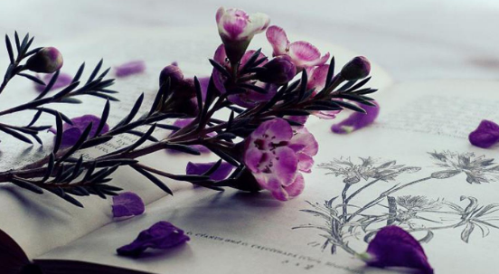 发表论文 发表论文